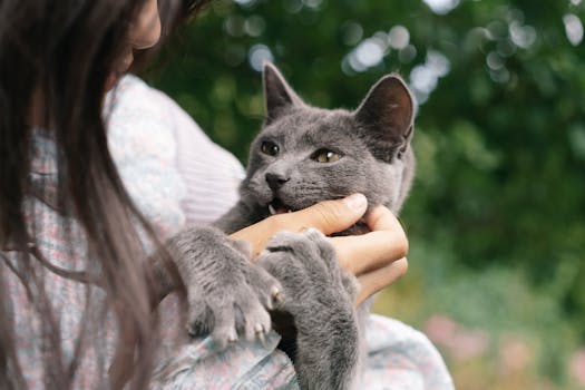 pexels-photo-9783906-9783906 A cute gray cat playfully biting a woman's hand outdoors, showcasing playful pet interactions.